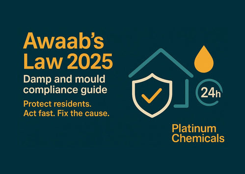 Awaab’s Law: What Landlords & Tenants Must Do Now About Damp & Mould