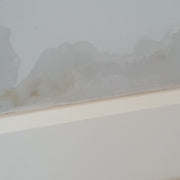 How to Prevent Dampness in Your Home