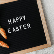 Easter 2026 Weekend Closure Notice from Platinum Chemicals Ltd