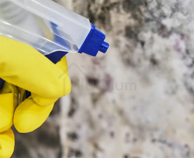 ACS Mould Wash Concentrate